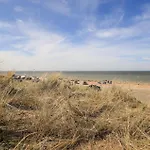 Apartament Cozy In With Wifi Stella-Plage